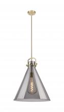 Innovations Lighting 410-1SL-CB-G411-18SM - Newton Cone - 1 Light - 18 inch - Champagne Bronze - Pendant